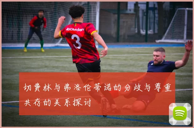 切费林与弗洛伦蒂诺的分歧与尊重共存的关系探讨