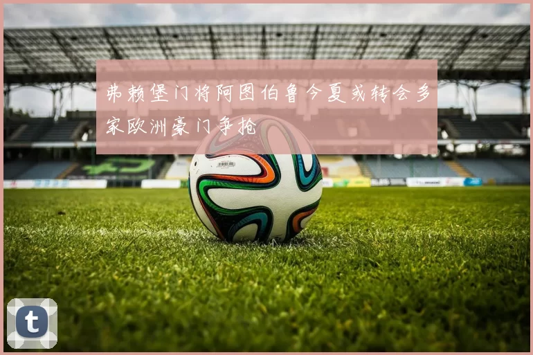 弗赖堡门将阿图伯鲁今夏或转会多家欧洲豪门争抢